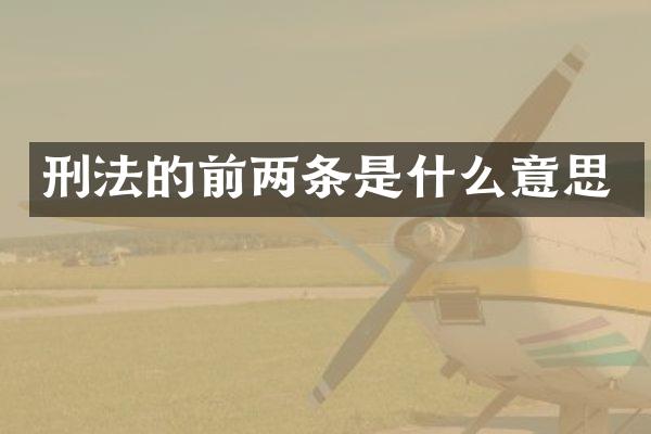 刑法的前两条是什么意思