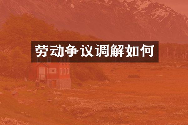 劳动争议调解如何