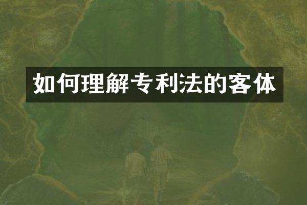 如何理解专利法的客体
