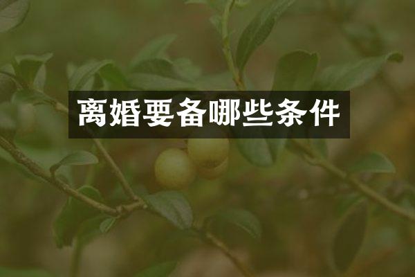 离婚要备哪些条件