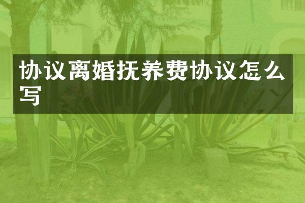 协议离婚抚养费协议怎么写