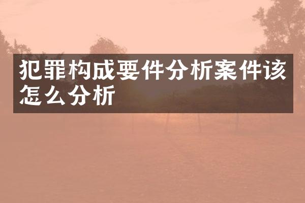 犯罪构成要件分析案件该怎么分析