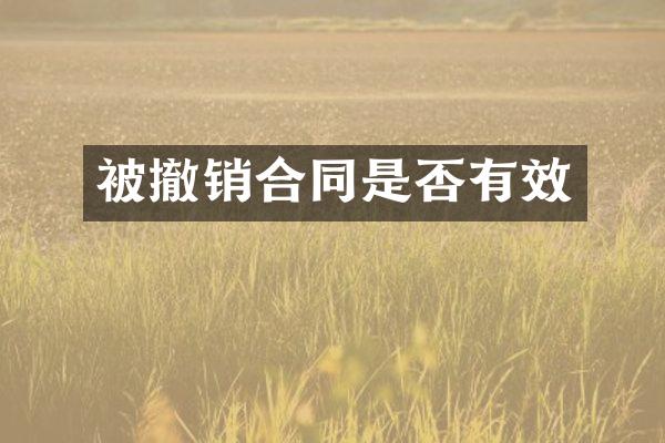 被撤销合同是否有效