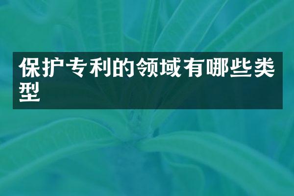 保护专利的领域有哪些类型