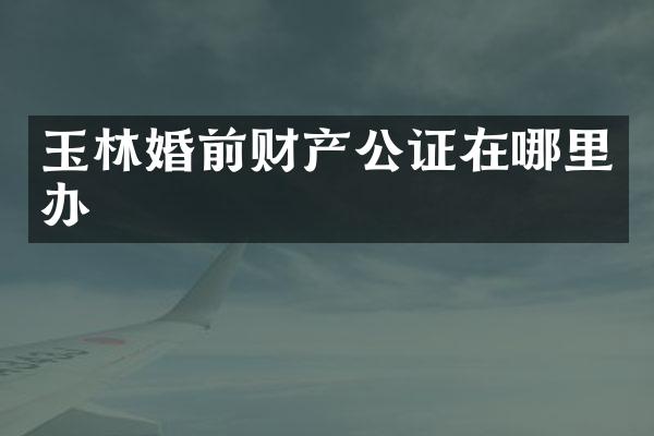 玉林婚前财产公证在哪里办