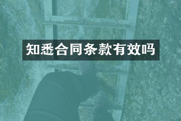 知悉合同条款有效吗