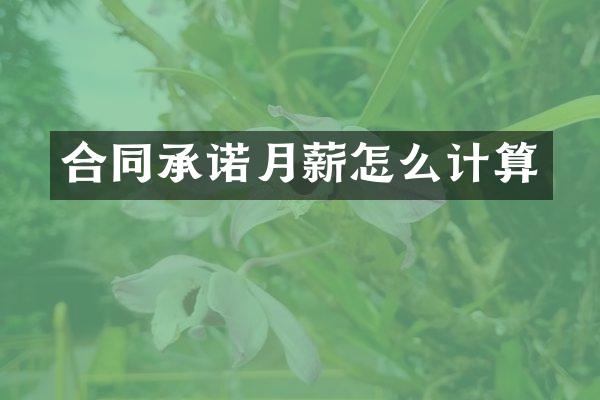 合同承诺月薪怎么计算