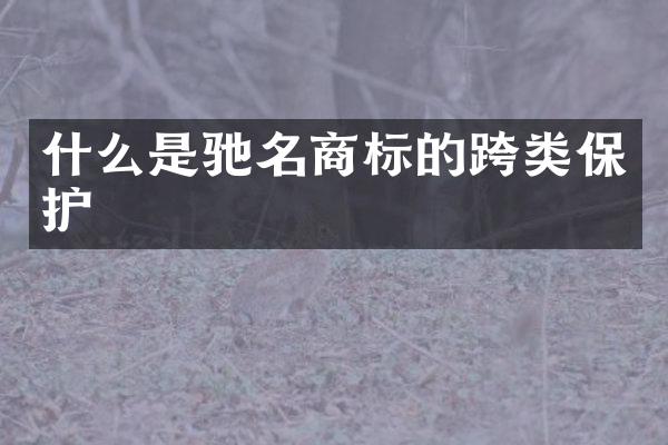 什么是驰名商标的跨类保护
