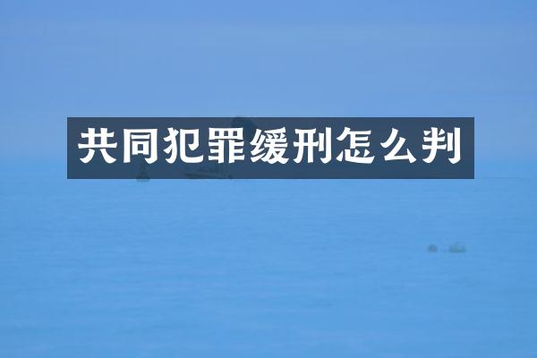 共同犯罪缓刑怎么判