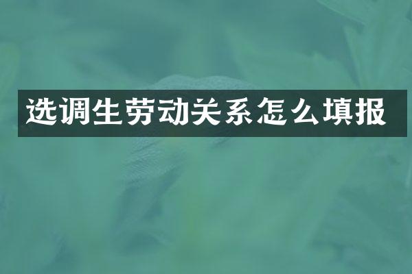 选调生劳动关系怎么填报