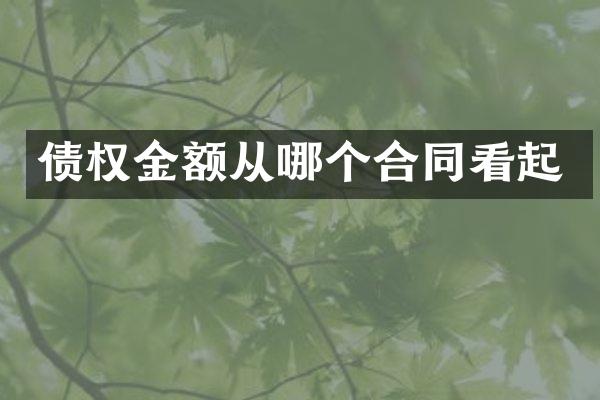 债权金额从哪个合同看起