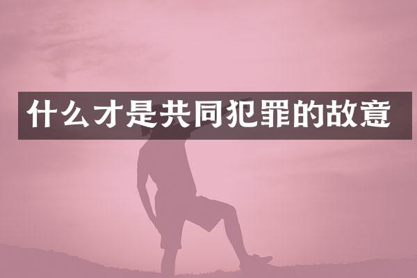 什么才是共同犯罪的故意