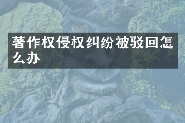 著作权侵权纠纷被驳回怎么办