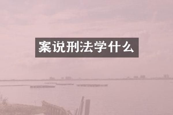 案说刑法学什么