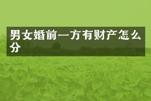 男女婚前一方有财产怎么分