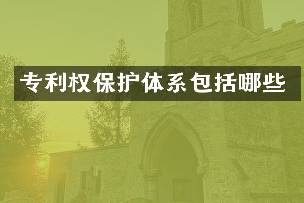 专利权保护体系包括哪些