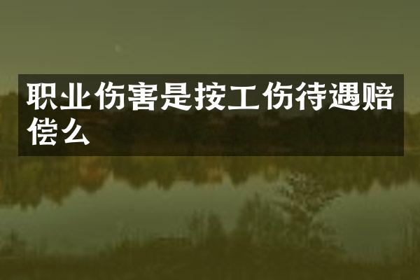 职业伤害是按工伤待遇赔偿么