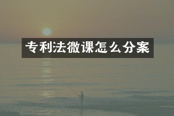专利法微课怎么分案