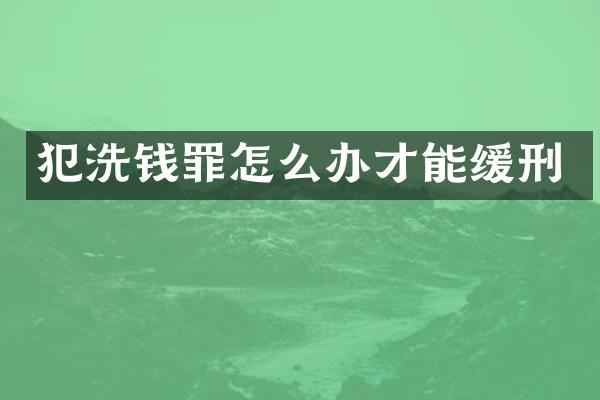 犯洗钱罪怎么办才能缓刑