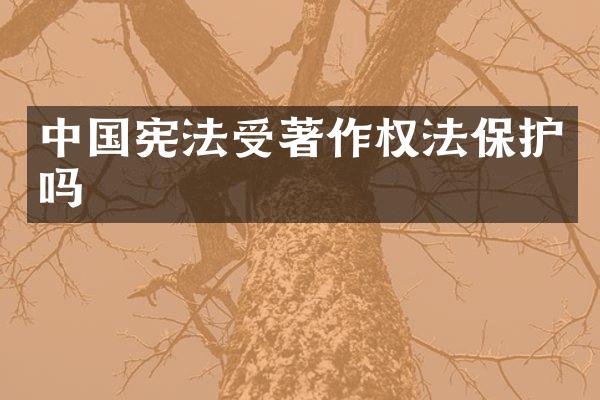 中国宪法受著作权法保护吗