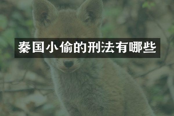 秦国小偷的刑法有哪些