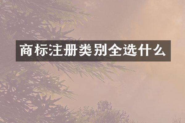 商标注册类别全选什么