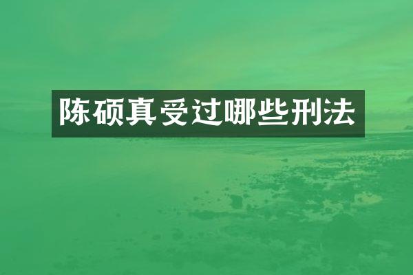 陈硕真受过哪些刑法