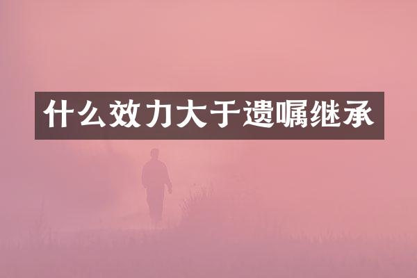 什么效力大于遗嘱继承