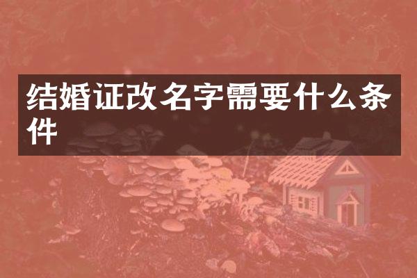结婚证改名字需要什么条件