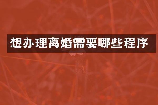 想办理离婚需要哪些程序
