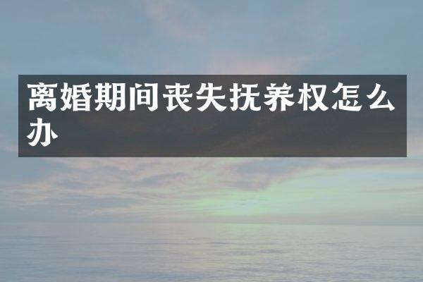 离婚期间丧失抚养权怎么办