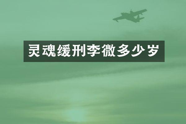 灵魂缓刑李微多少岁