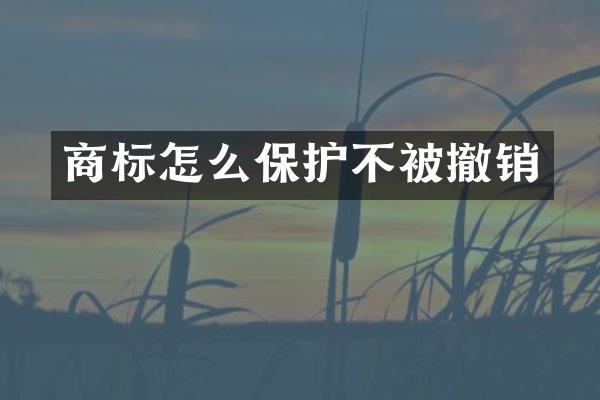 商标怎么保护不被撤销