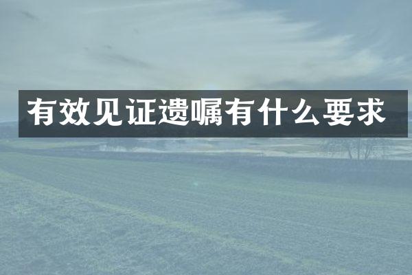 有效见证遗嘱有什么要求