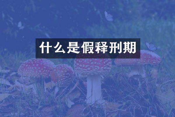 什么是假释刑期