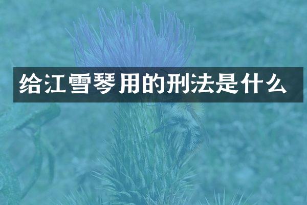 给江雪琴用的刑法是什么