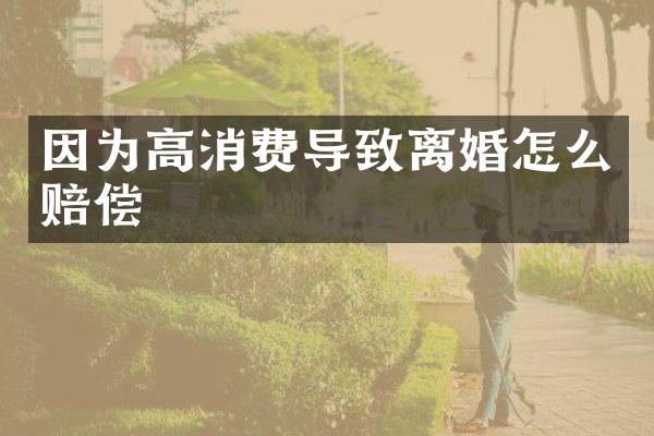 因为高消费导致离婚怎么赔偿