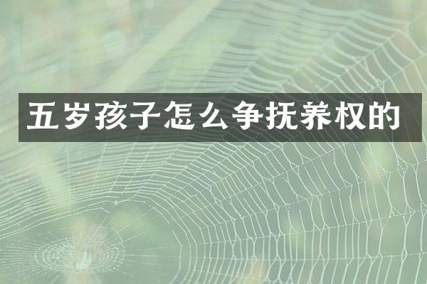 五岁孩子怎么争抚养权的