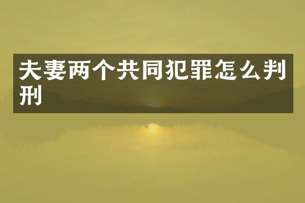 夫妻两个共同犯罪怎么判刑
