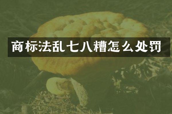 商标法乱七八糟怎么处罚