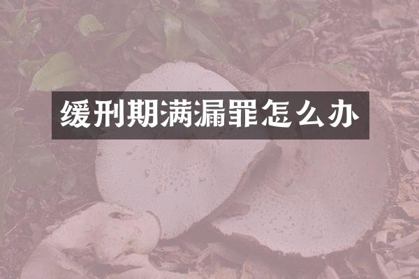 缓刑期满漏罪怎么办