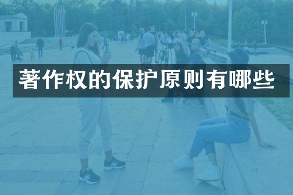 著作权的保护原则有哪些