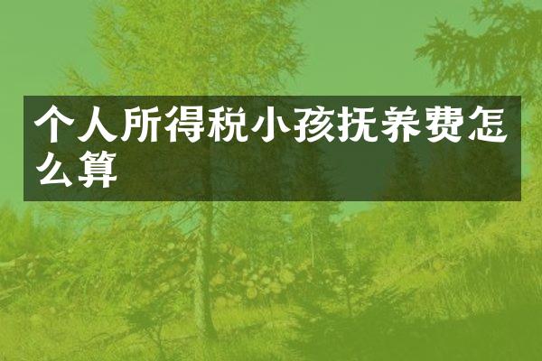 个人所得税小孩抚养费怎么算