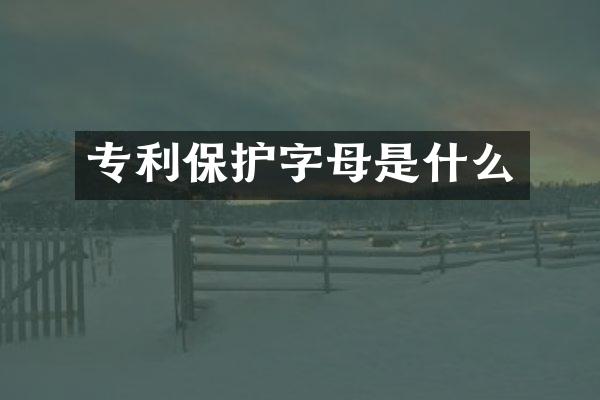 专利保护字母是什么