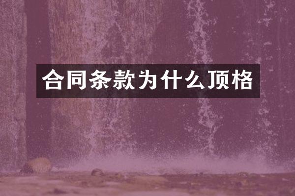 合同条款为什么顶格