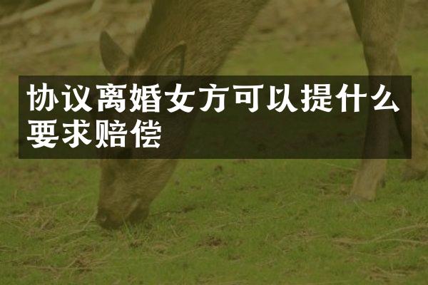 协议离婚女方可以提什么要求赔偿
