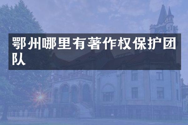 鄂州哪里有著作权保护团队