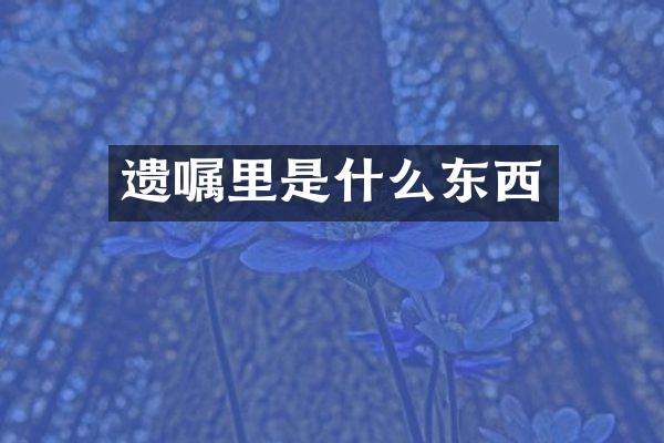遗嘱里是什么东西