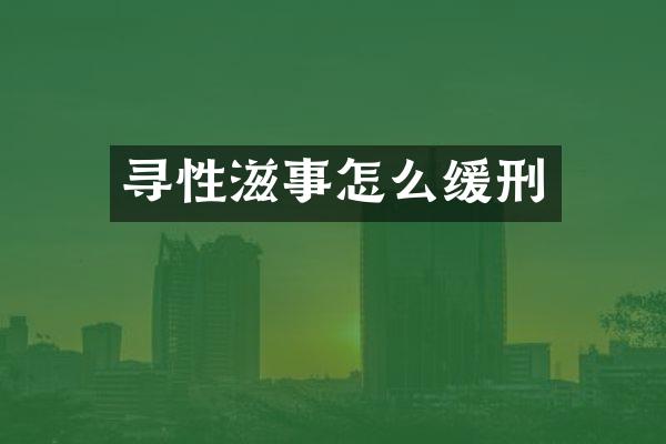 寻性滋事怎么缓刑