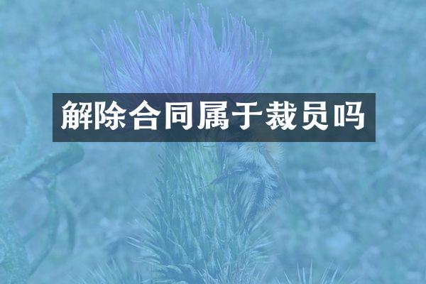 解除合同属于裁员吗